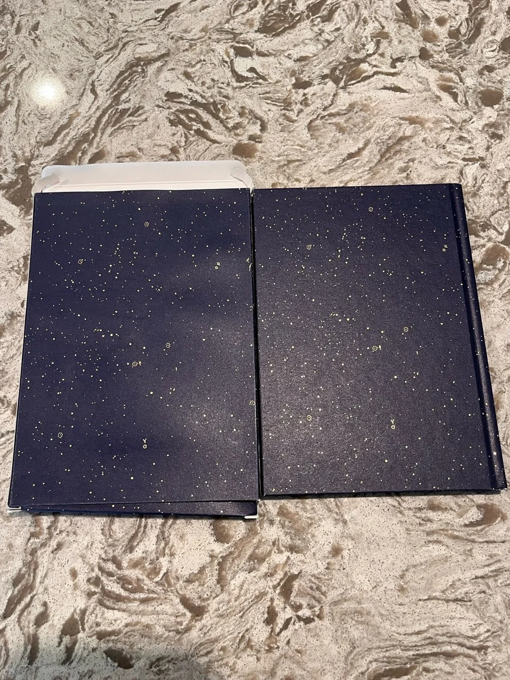 Dior Navy & Gold Floral Foil Notebook- LIMITED EDITION